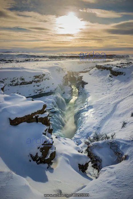 : Waterfall Gullfoss with ice and snow in winter : Waterfall Gullfoss with ice and snow in winter