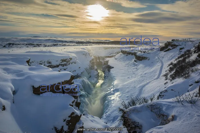 : Waterfall Gullfoss with ice and snow in winter : Waterfall Gullfoss with ice and snow in winter