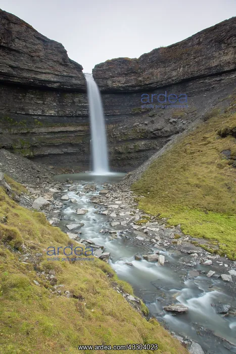 : Waterfall Hemsilfossen in Ekmanfjord - Svalbard : Waterfall Hemsilfossen in Ekmanfjord - Svalbard