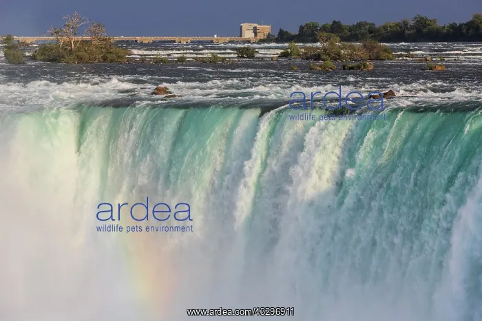 : Waterfall Horseshoe Falls, Niagara Falls, Ontario : Waterfall Horseshoe Falls, Niagara Falls, Ontario