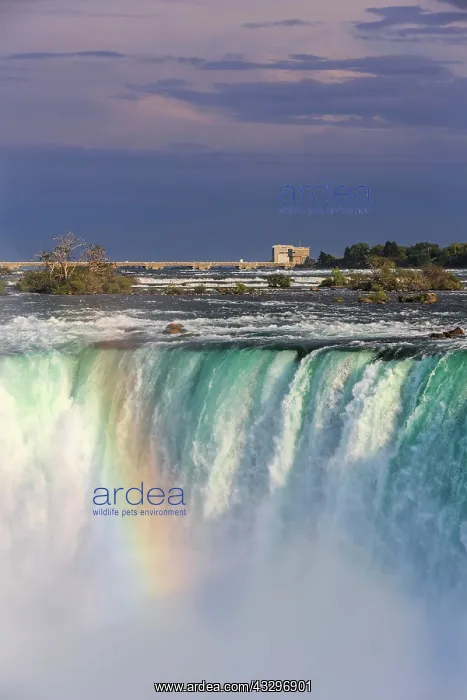 : Waterfall Horseshoe Falls with Rainbow, Niagara : Waterfall Horseshoe Falls with Rainbow, Niagara