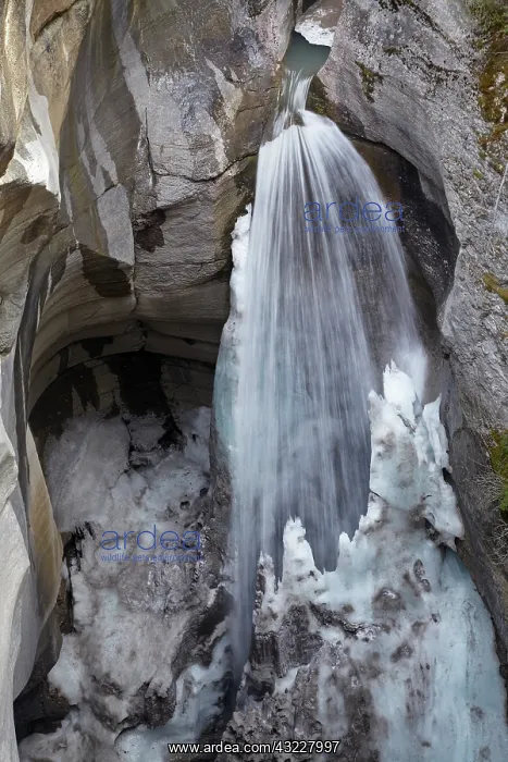 : Waterfall and ice, Maligne Canyon, Jasper : Waterfall and ice, Maligne Canyon, Jasper