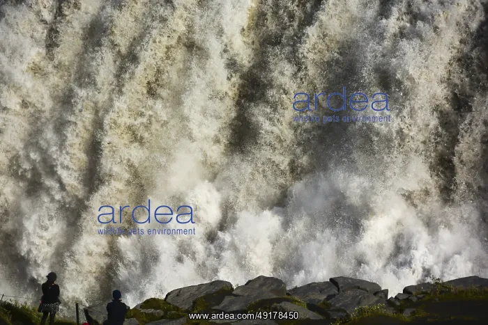 : Waterfall in Iceland, detailed view : Waterfall in Iceland, detailed view