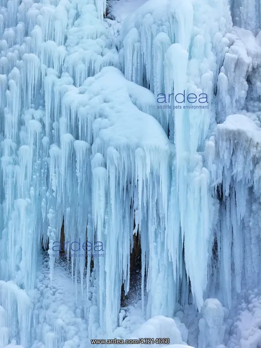 : Waterfall, icicle, winter landscape, National Park : Waterfall, icicle, winter landscape, National Park