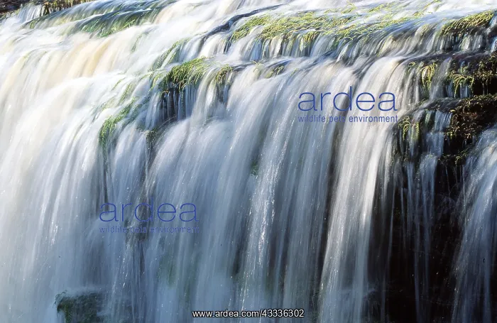: Waterfall - Lagune de Canaima : Waterfall - Lagune de Canaima