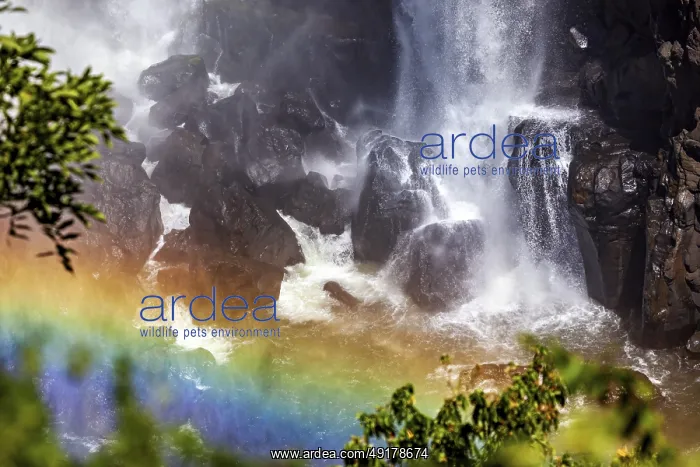  : Waterfall meets dark rocks, a rainbow shines in the foreground