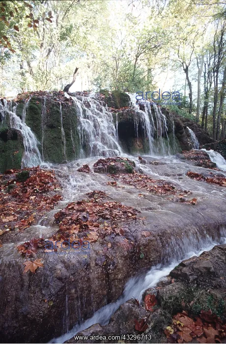 : WATERFALL - mossy with leaves : WATERFALL - mossy with leaves