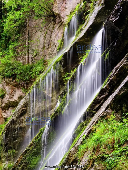 : Waterfall on mossy rock face, Wimbachklamm, Wimbachtal : Waterfall on mossy rock face, Wimbachklamm, Wimbachtal