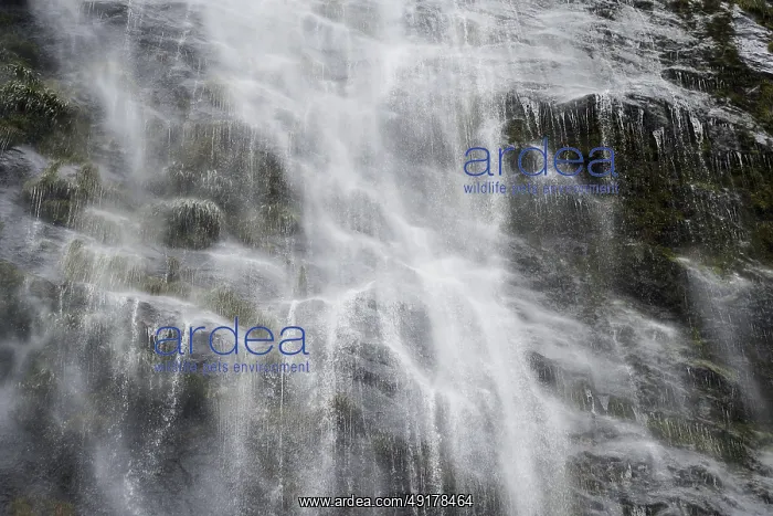 : Waterfall, detail photo, New Zealand : Waterfall, detail photo, New Zealand