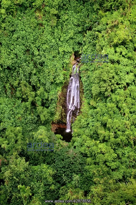 : Waterfall Pohnpei, Micronesia : Waterfall Pohnpei, Micronesia