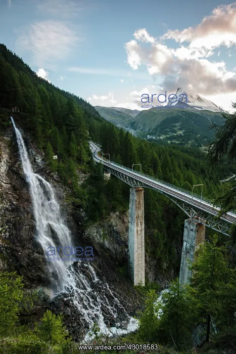: Waterfall with rail viaduct bridge Matterhorn Mountain : Waterfall with rail viaduct bridge Matterhorn Mountain