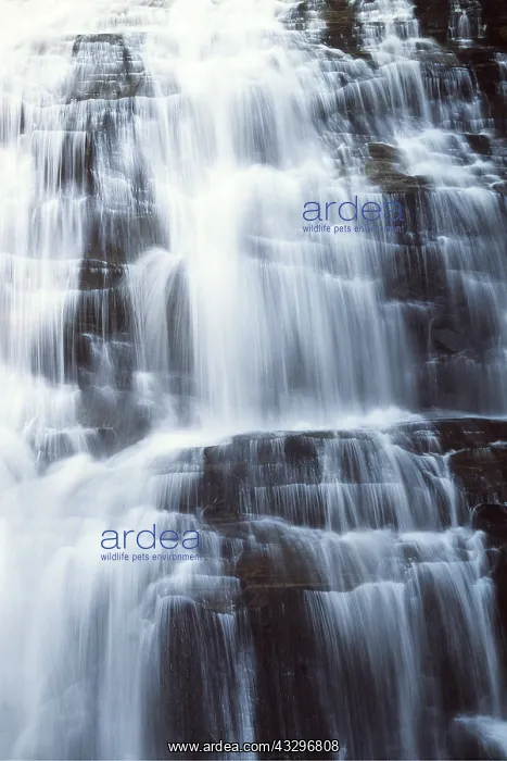 : WATERFALL - Rainbow Falls, Pisgah National Forest : WATERFALL - Rainbow Falls, Pisgah National Forest