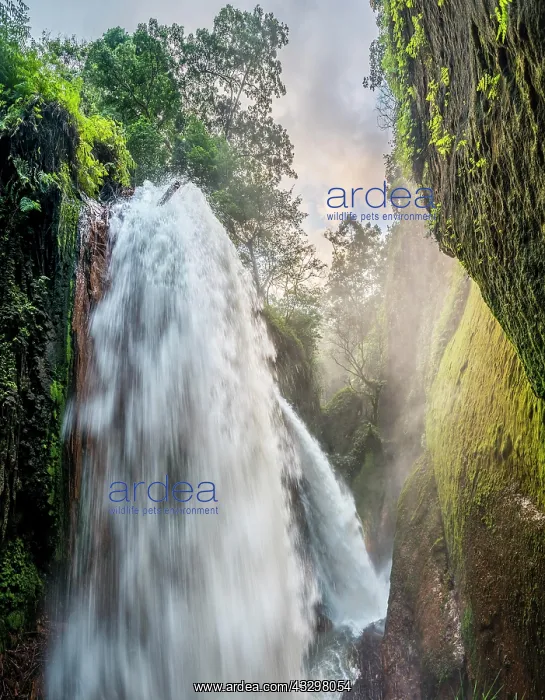 : Waterfall in ravine, Air Terjun Belawan, Kalianyar : Waterfall in ravine, Air Terjun Belawan, Kalianyar
