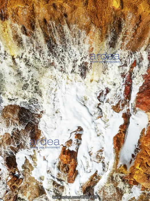 : Detail of a waterfall in the Rio Tinto (Red river) : Detail of a waterfall in the Rio Tinto (Red river)