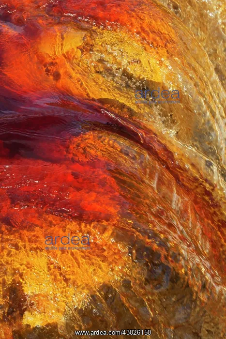 : Detail of a waterfall in the Rio Tinto Red river wit : Detail of a waterfall in the Rio Tinto Red river wit
