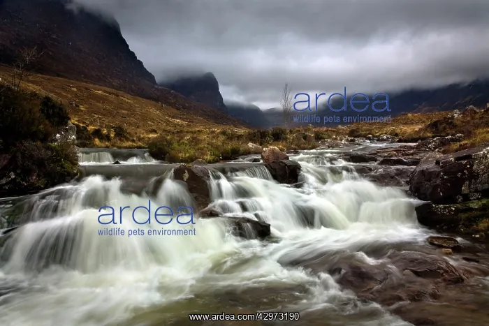 : Waterfall at Russel Burn in moody conditions : Waterfall at Russel Burn in moody conditions