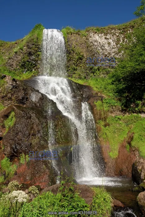 : Waterfall of Saillant, near Marcenat, Cantal department : Waterfall of Saillant, near Marcenat, Cantal department