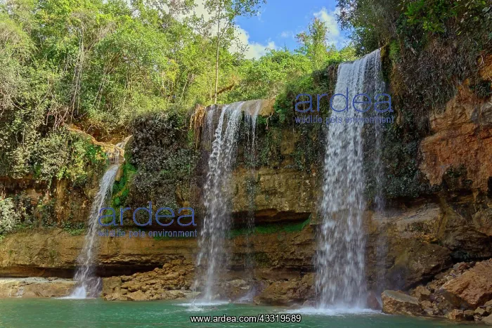 : Waterfall, Salto Alto, Comatillo River, Bayaguana : Waterfall, Salto Alto, Comatillo River, Bayaguana