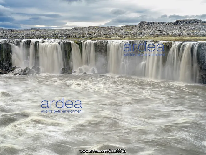 : Waterfall Selfoss in the Vatnajokull National Park : Waterfall Selfoss in the Vatnajokull National Park
