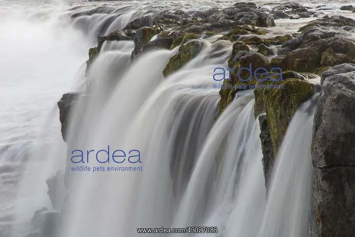 : Waterfall Selfoss in winter Nordurland eystra Iceland : Waterfall Selfoss in winter Nordurland eystra Iceland