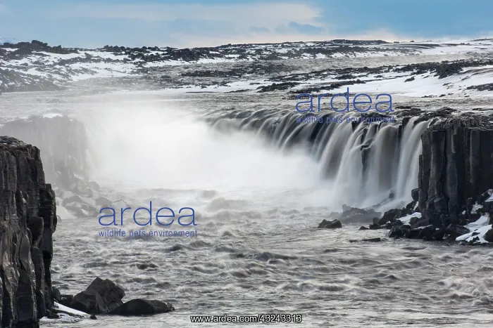 : Waterfall Selfoss in winter Nordurland eystra Iceland : Waterfall Selfoss in winter Nordurland eystra Iceland
