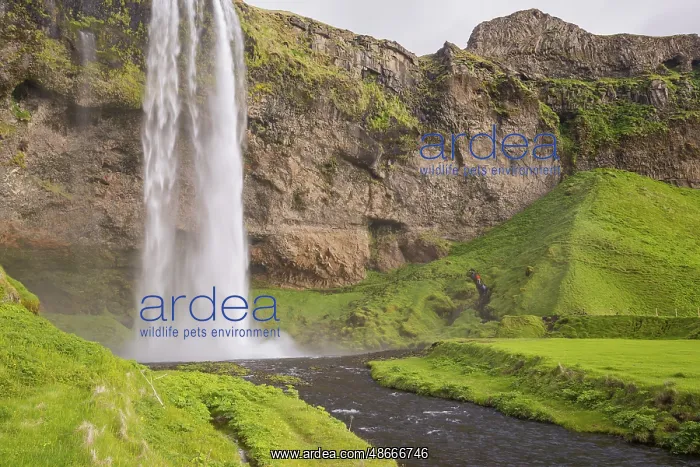 : Waterfall Seljalandsfoss, 60 m high, located in southern : Waterfall Seljalandsfoss, 60 m high, located in southern