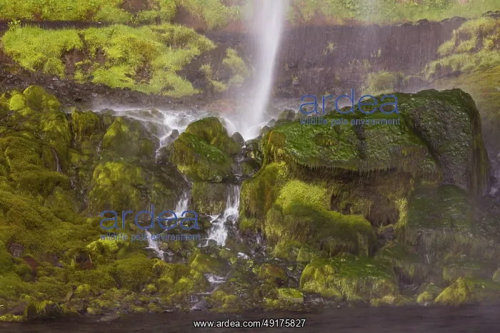 : Waterfall Seljalandsfoss, 60 m high : Waterfall Seljalandsfoss, 60 m high