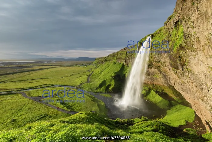 : Waterfall Seljalandsfoss (66 m) - Iceland : Waterfall Seljalandsfoss (66 m) - Iceland