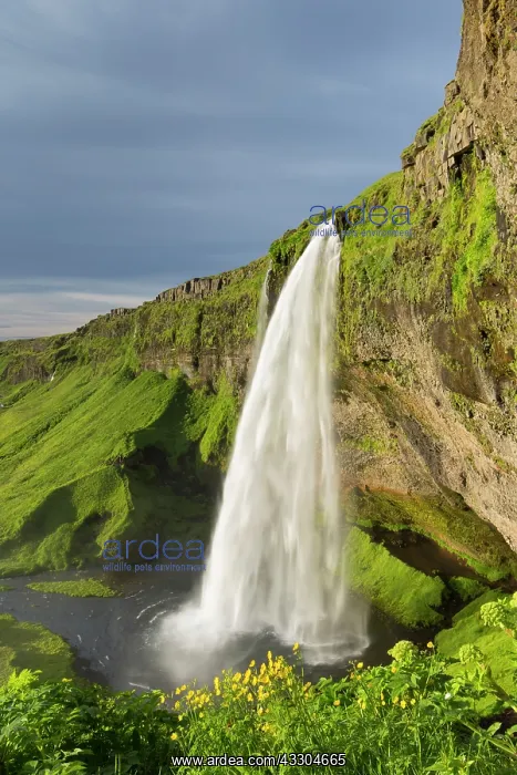 : Waterfall Seljalandsfoss (66 m) - Iceland : Waterfall Seljalandsfoss (66 m) - Iceland