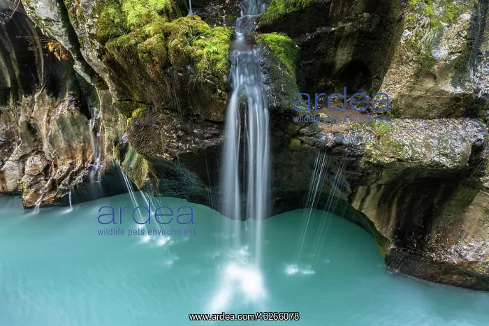 : Waterfall in Soca Canyon, Soca valley, Triglav National : Waterfall in Soca Canyon, Soca valley, Triglav National