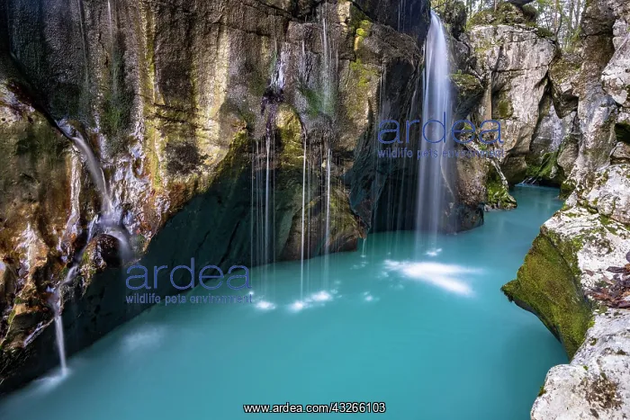 : Waterfall in Soca Canyon, Soca valley, Triglav National : Waterfall in Soca Canyon, Soca valley, Triglav National