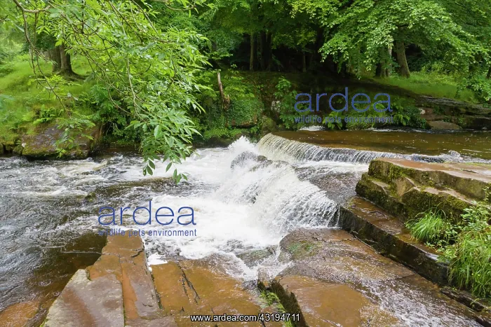  : Waterfall on Taf Fechan, Brecon Beacons National
