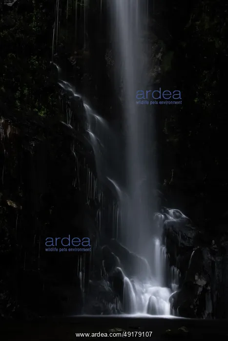  : Waterfall of the Toxa river ~ Galicia, Spain