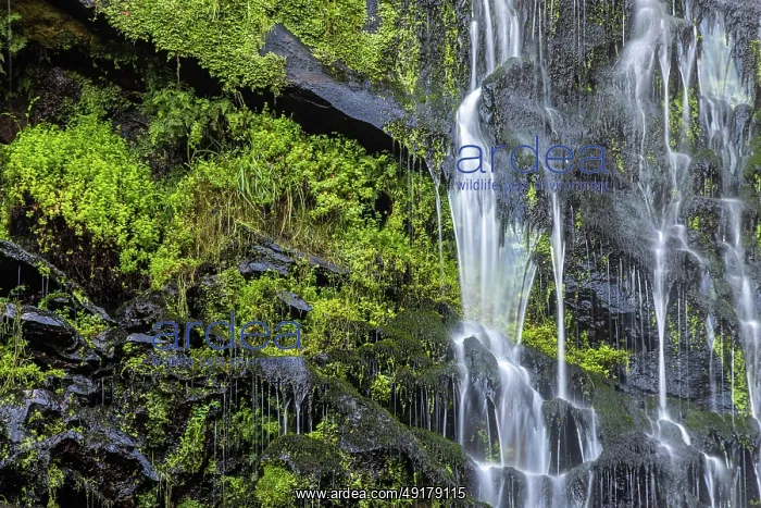  : Waterfall of the Toxa river ~ Galicia, Spain