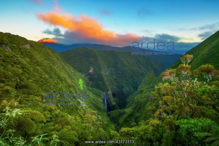  : Waterfall in the Trou de Fer, Piton des Neiges Massif