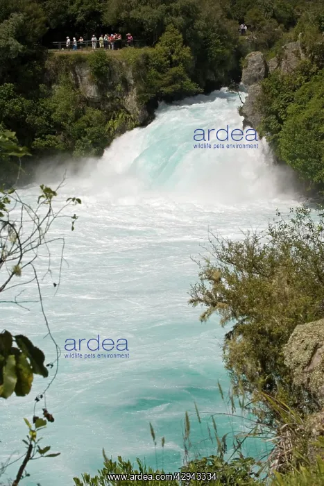 : Waterfall - visitors viewing Huka Falls on Waikato : Waterfall - visitors viewing Huka Falls on Waikato