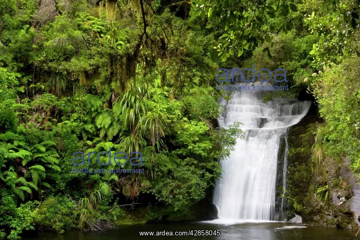 : Waterfall - water flowing over rocks into a basin : Waterfall - water flowing over rocks into a basin