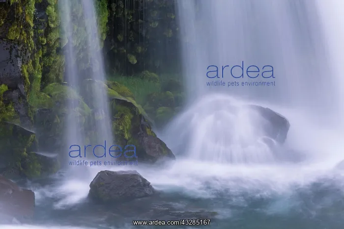 : Waterfall, West Iceland, Vesturland, Iceland, Europe : Waterfall, West Iceland, Vesturland, Iceland, Europe