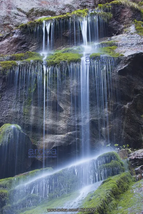 : Waterfall at Wimbachklamm - National Park Berchtesgaden : Waterfall at Wimbachklamm - National Park Berchtesgaden
