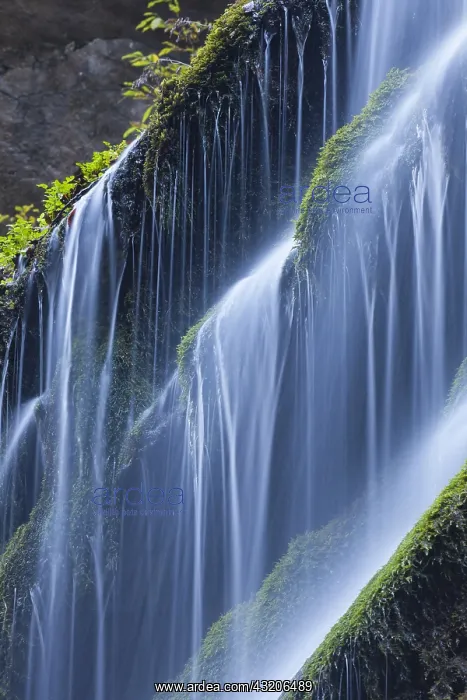 : Waterfall at Wimbachklamm - National Park Berchtesgaden : Waterfall at Wimbachklamm - National Park Berchtesgaden