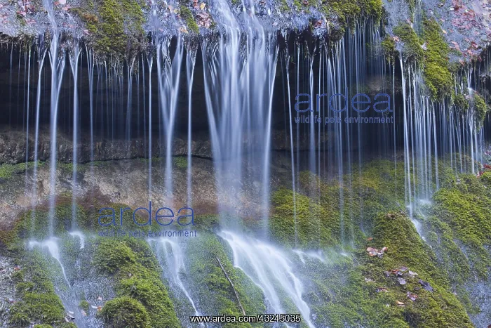 : Waterfall at Wimbachklamm - National Park Berchtesgaden : Waterfall at Wimbachklamm - National Park Berchtesgaden