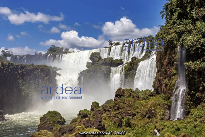  : Waterfalls with spraying water mist and lush vegetation