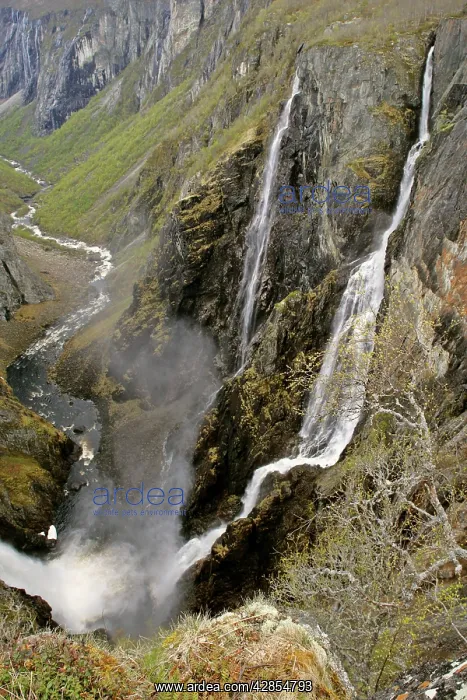 : waterfalls - view of the thundering water masses : waterfalls - view of the thundering water masses
