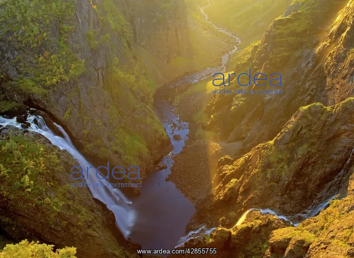 : waterfalls - view of water masses of Voringfossen : waterfalls - view of water masses of Voringfossen
