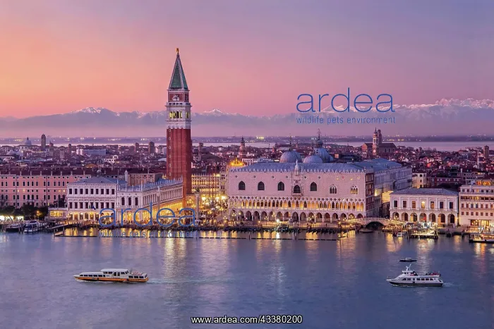 : Waterfront with Campanile and Doge's Palace in front : Waterfront with Campanile and Doge's Palace in front