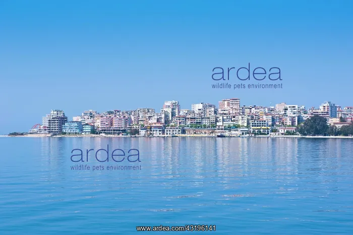 : Waterfront of the coastal town of Sarande, Albania : Waterfront of the coastal town of Sarande, Albania