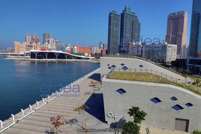 : Waterfront and pier in Kaohsiung Harbour, Kaohsiung : Waterfront and pier in Kaohsiung Harbour, Kaohsiung