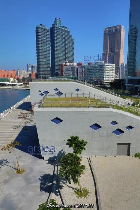 : Waterfront and pier in Kaohsiung Harbour, Kaohsiung : Waterfront and pier in Kaohsiung Harbour, Kaohsiung