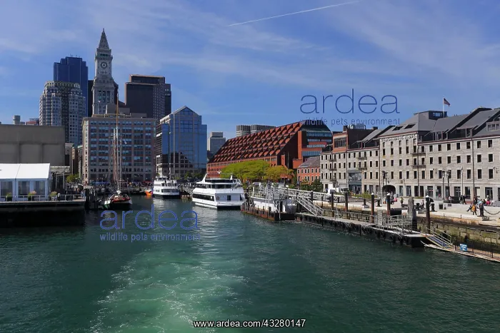 : Waterfront with tour boats at Long Wharf, Boston : Waterfront with tour boats at Long Wharf, Boston