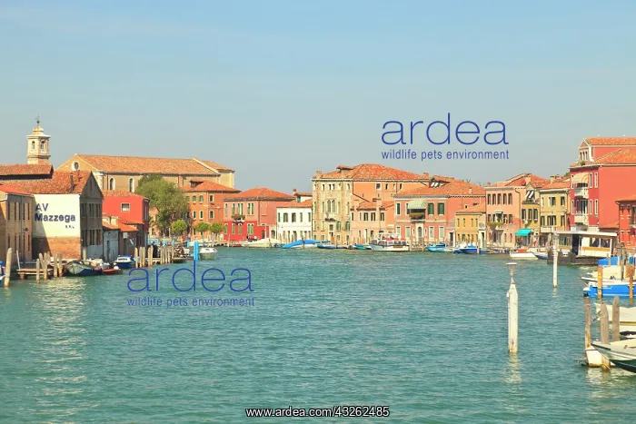 : Waterfront view of colorful pastel buildings : Waterfront view of colorful pastel buildings